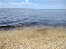 Clear Water on Marsh Isl