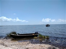 Land Ho! Marsh Island