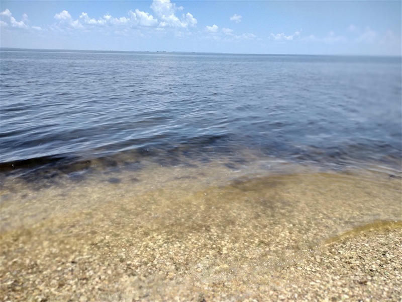 Clear Water on Marsh Isl