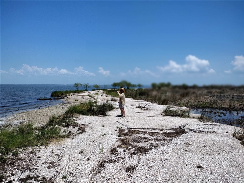 Beach in North Marsh Is