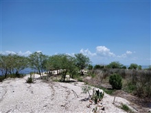 Joe Aucoin Bayou, Marsh Is